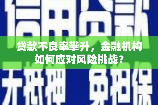上林贷款不良率攀升，金融机构如何应对风险挑战？