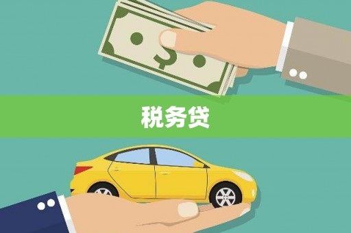 上林税务贷