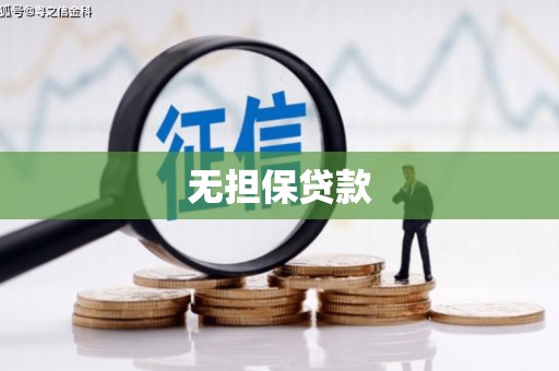 上林无担保贷款