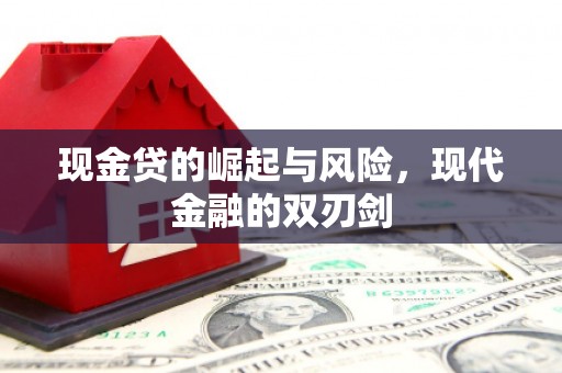 上林现金贷的崛起与风险，现代金融的双刃剑