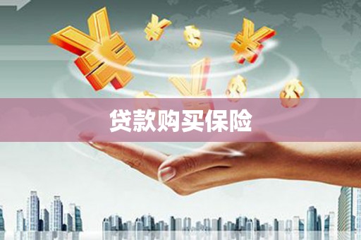 上林贷款购买保险