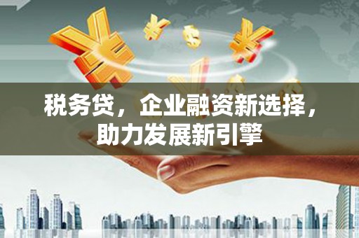 上林税务贷，企业融资新选择，助力发展新引擎