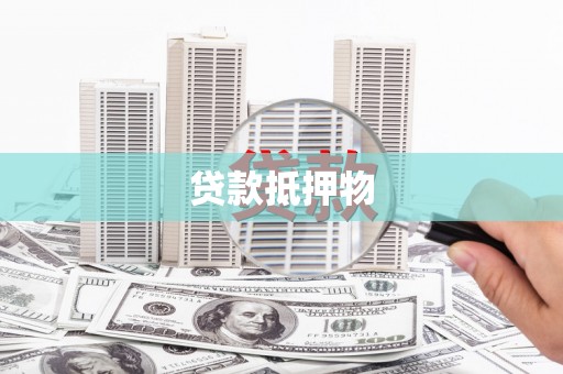 上林贷款抵押物