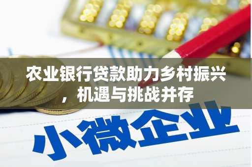 上林农业银行贷款助力乡村振兴，机遇与挑战并存