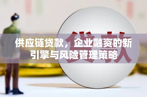 上林供应链贷款，企业融资的新引擎与风险管理策略