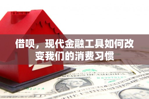 上林借呗，现代金融工具如何改变我们的消费习惯