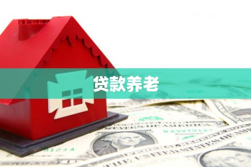 上林贷款养老