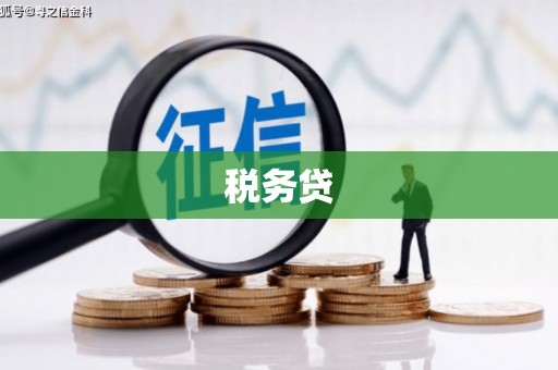 上林税务贷
