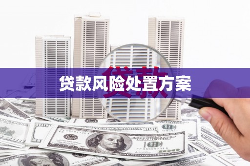 上林贷款风险处置方案
