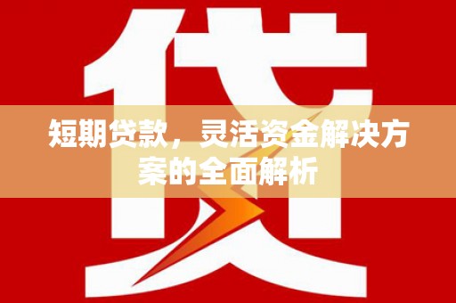 上林短期贷款，灵活资金解决方案的全面解析