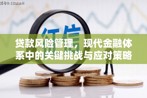 上林贷款风险管理，现代金融体系中的关键挑战与应对策略