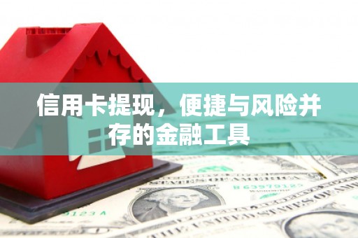 上林信用卡提现，便捷与风险并存的金融工具