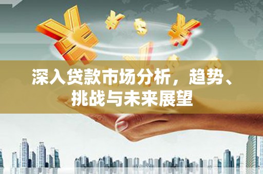 上林深入贷款市场分析，趋势、挑战与未来展望