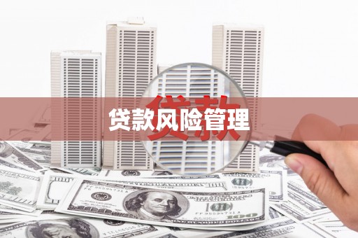 上林贷款风险管理