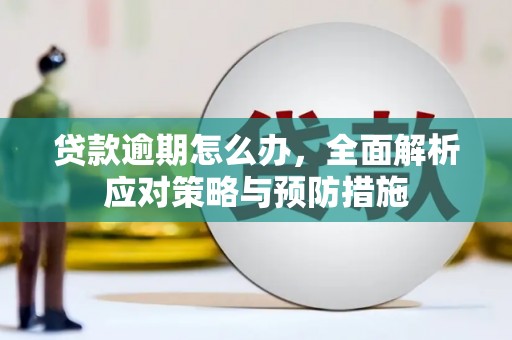 上林贷款逾期怎么办，全面解析应对策略与预防措施