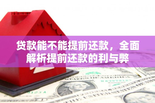 上林贷款能不能提前还款，全面解析提前还款的利与弊