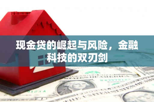 上林现金贷的崛起与风险，金融科技的双刃剑