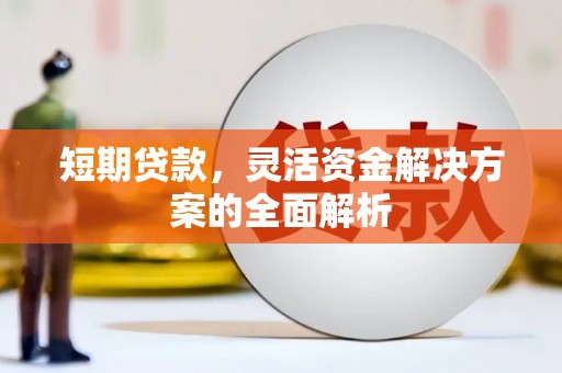 上林短期贷款，灵活资金解决方案的全面解析