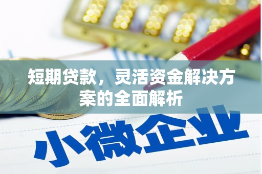 上林短期贷款，灵活资金解决方案的全面解析