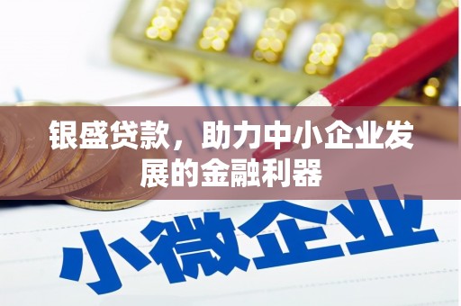上林银盛贷款，助力中小企业发展的金融利器