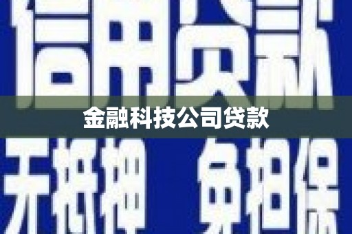 上林金融科技公司贷款