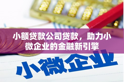 上林小额贷款公司贷款，助力小微企业的金融新引擎