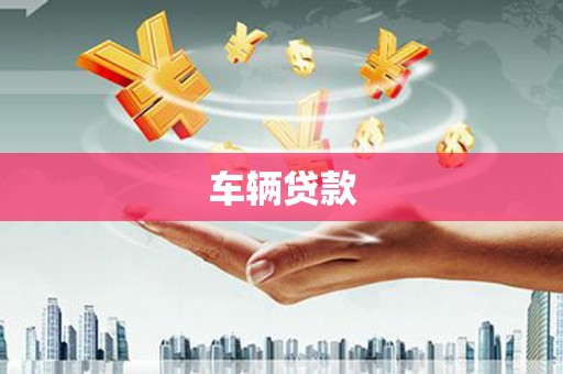 上林车辆贷款