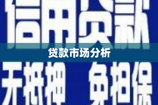 上林贷款市场分析