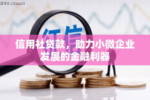 上林信用社贷款，助力小微企业发展的金融利器