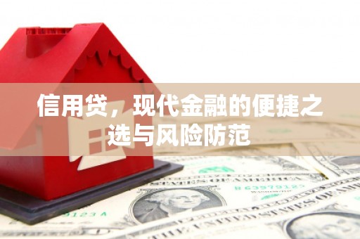 上林信用贷，现代金融的便捷之选与风险防范