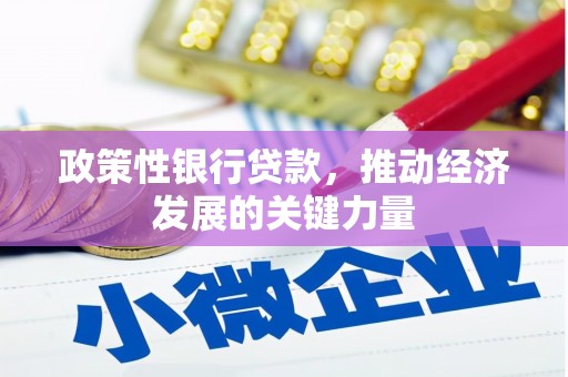 上林政策性银行贷款，推动经济发展的关键力量