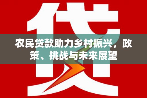 上林农民贷款助力乡村振兴，政策、挑战与未来展望