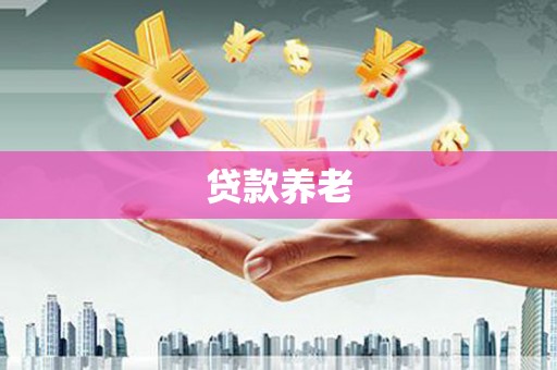 上林贷款养老