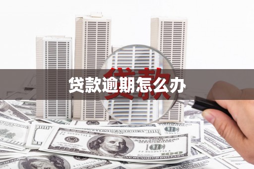 上林贷款逾期怎么办