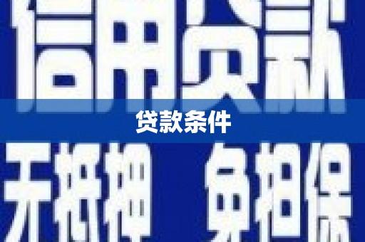 上林贷款条件