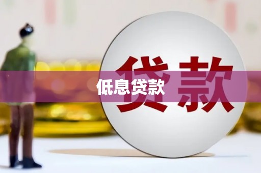 上林低息贷款