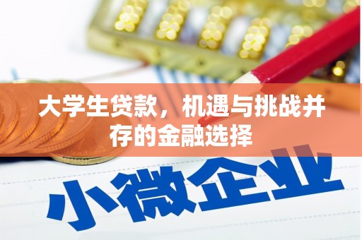 上林大学生贷款，机遇与挑战并存的金融选择