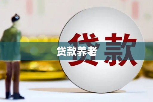 上林贷款养老
