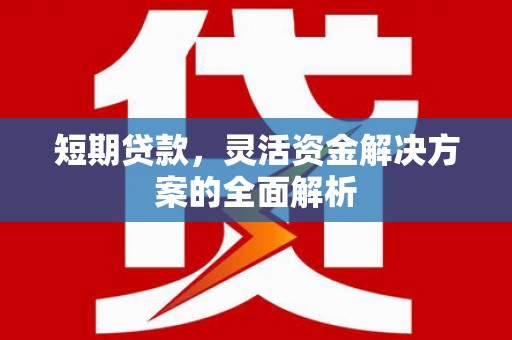 上林短期贷款，灵活资金解决方案的全面解析