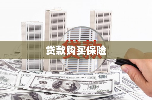 上林贷款购买保险
