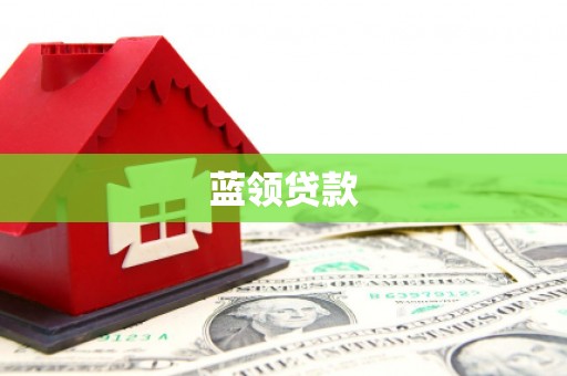 上林蓝领贷款