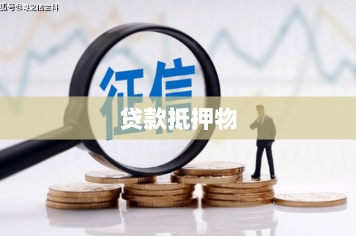 上林贷款抵押物