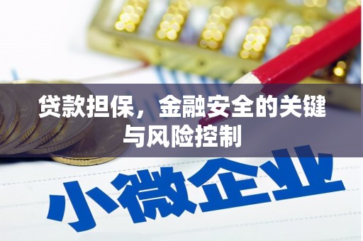 上林贷款担保，金融安全的关键与风险控制