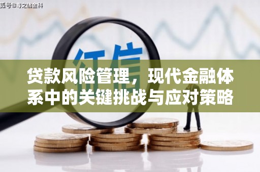 上林贷款风险管理，现代金融体系中的关键挑战与应对策略