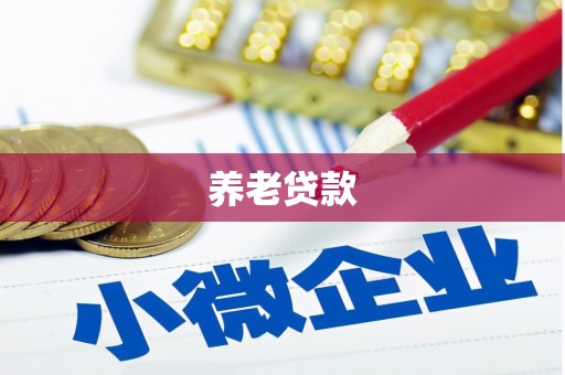 上林养老贷款