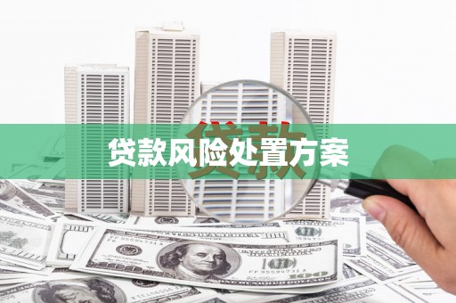 上林贷款风险处置方案