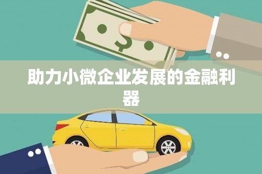 上林助力小微企业发展的金融利器
