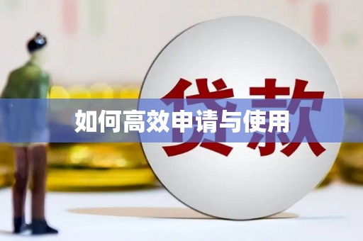 上林如何高效申请与使用