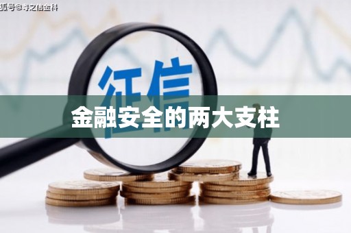 上林金融安全的两大支柱