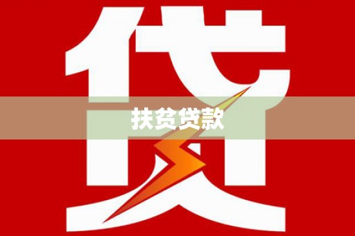 上林扶贫贷款